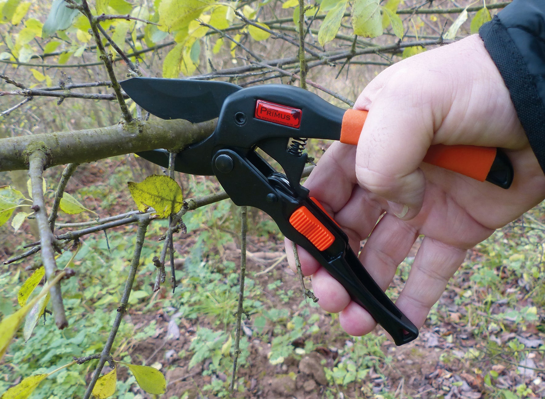 Beim Gehölz- und Baumschnitt beschneidet eine Hand mit der PowerGleit Garten-Schere mit Rollensystem einen kleinen Ast mit grünen Blättern.