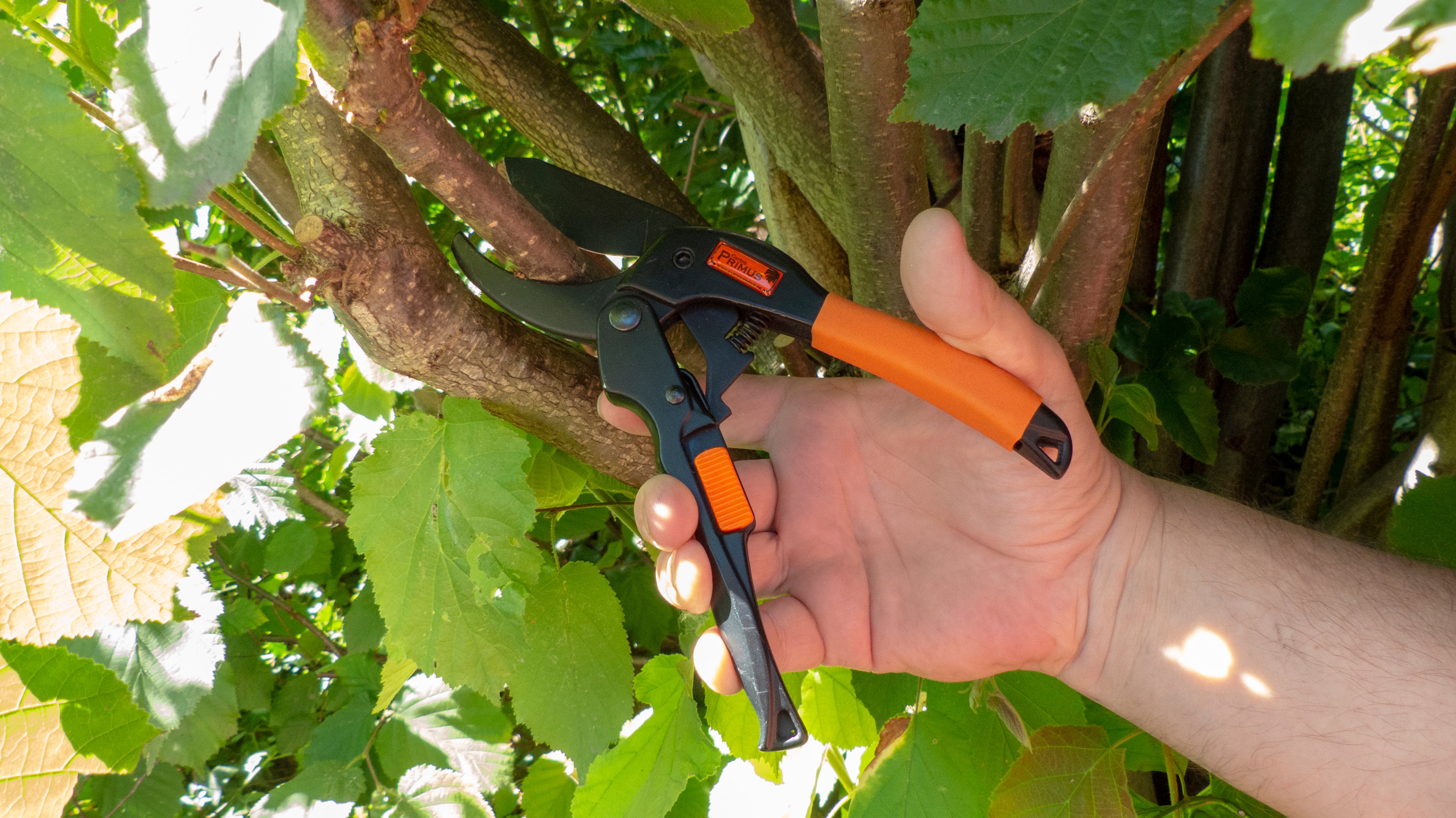 Eine Hand schneidet mit der PowerGleit-Gartenschere mit Rollensystem und orangefarbenem Griff einen von grünen Blättern umgebenen Ast ab.