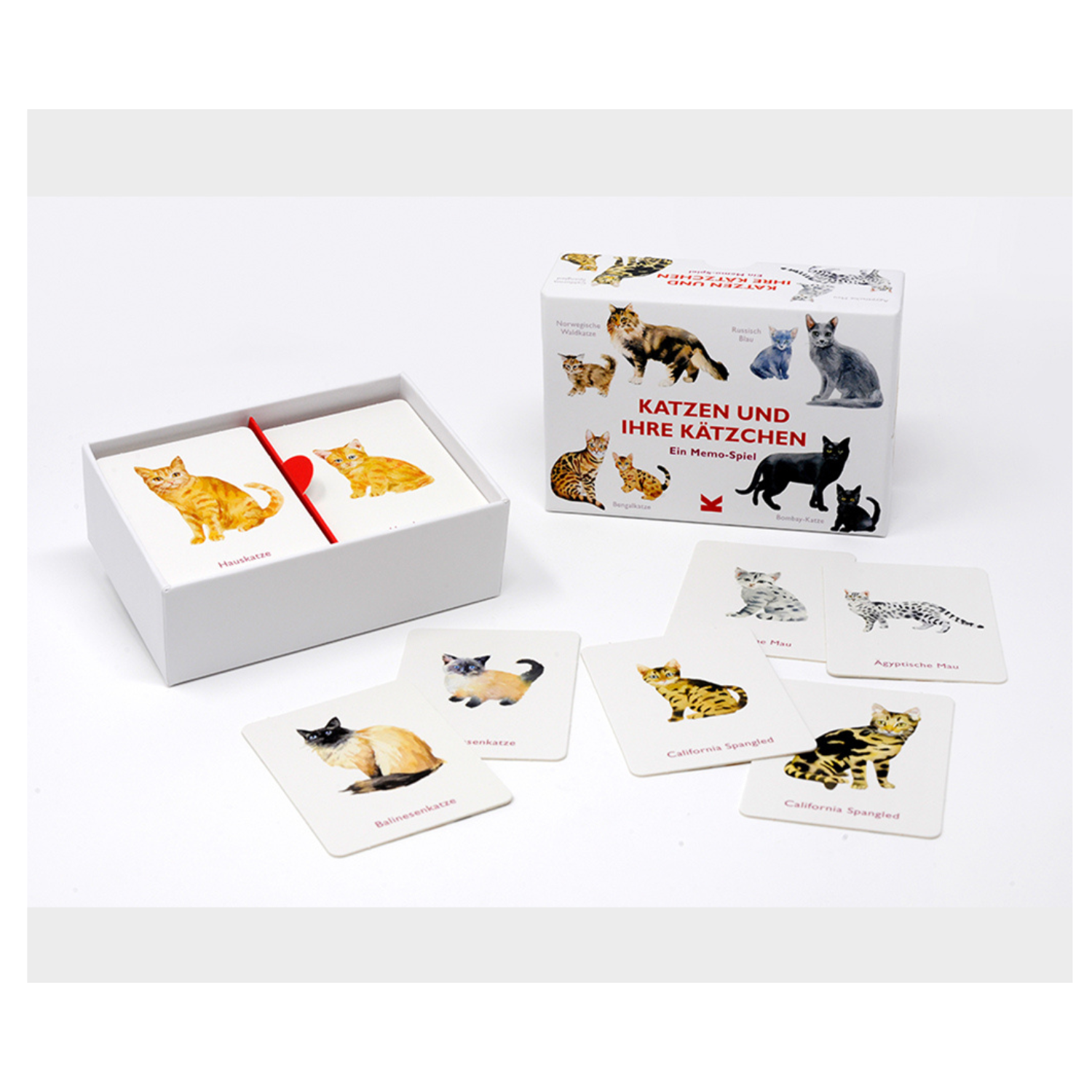 Die Katzen und ihre Kätzchen-Box, ein Memory-Kartenspiel zum Thema Katzen, zeigt illustrierte Kätzchen-Karten, die auf einer weißen Fläche ausgebreitet sind.