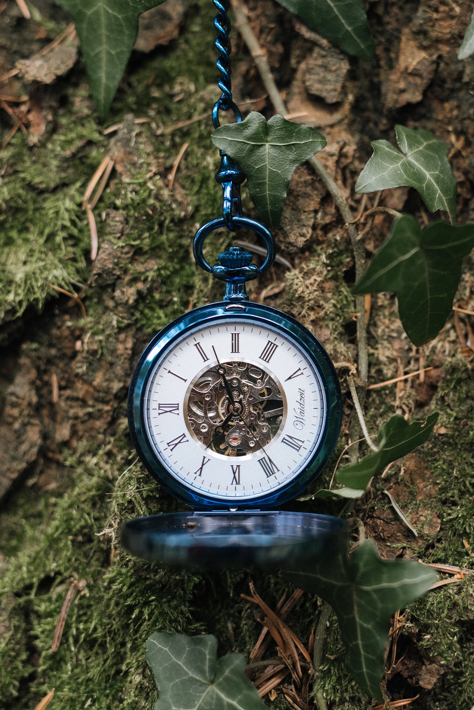Taschenuhr aus blauem Edelstahl vor natürlichem Hintergrund
