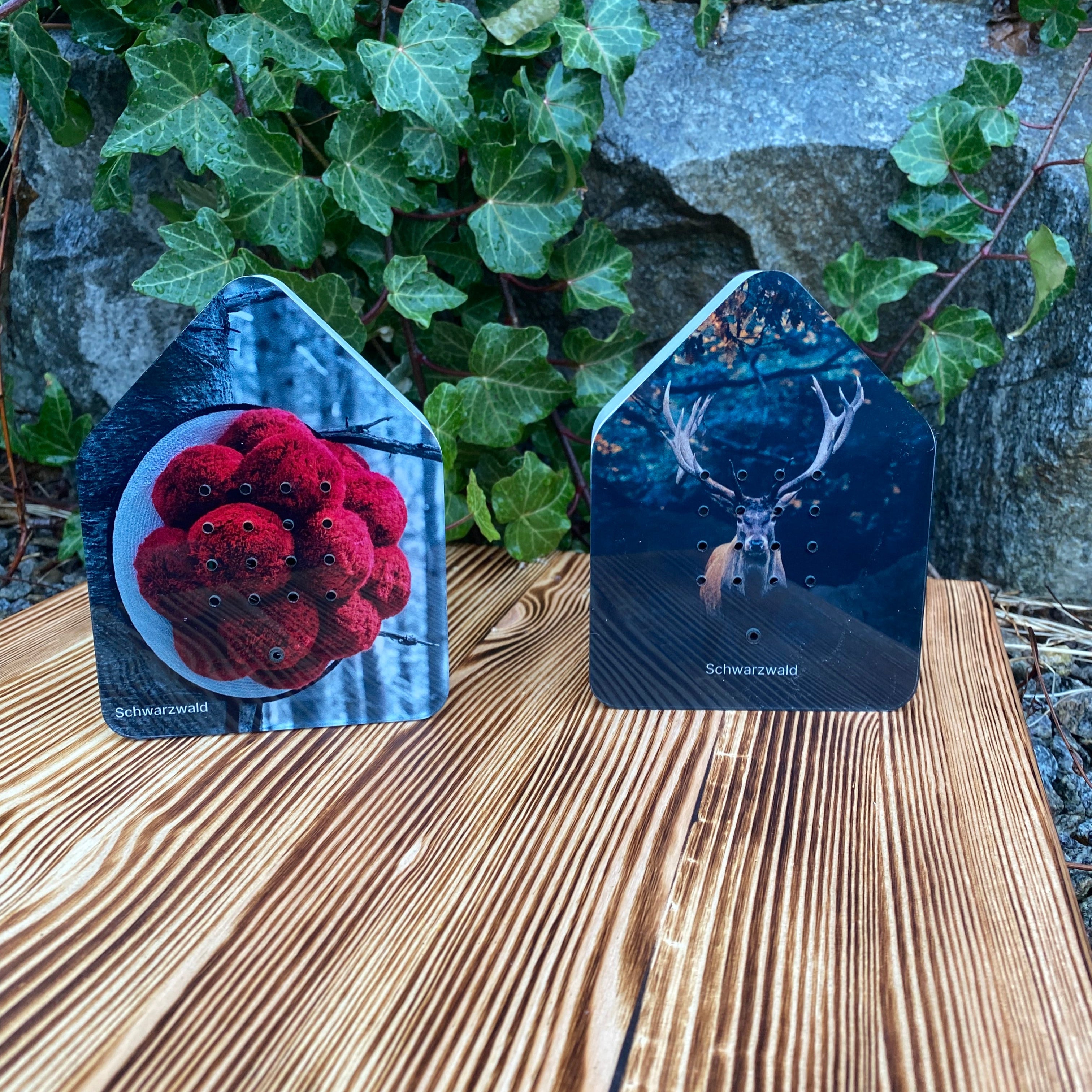 Zwei hausförmige Zwitscherbox-Karten – „Bollenhut“ mit roten Beeren und „Hirsch“ mit einem Reh zwischen Efeu und Felsen – fangen eine bezaubernde Schwarzwaldszene ein.