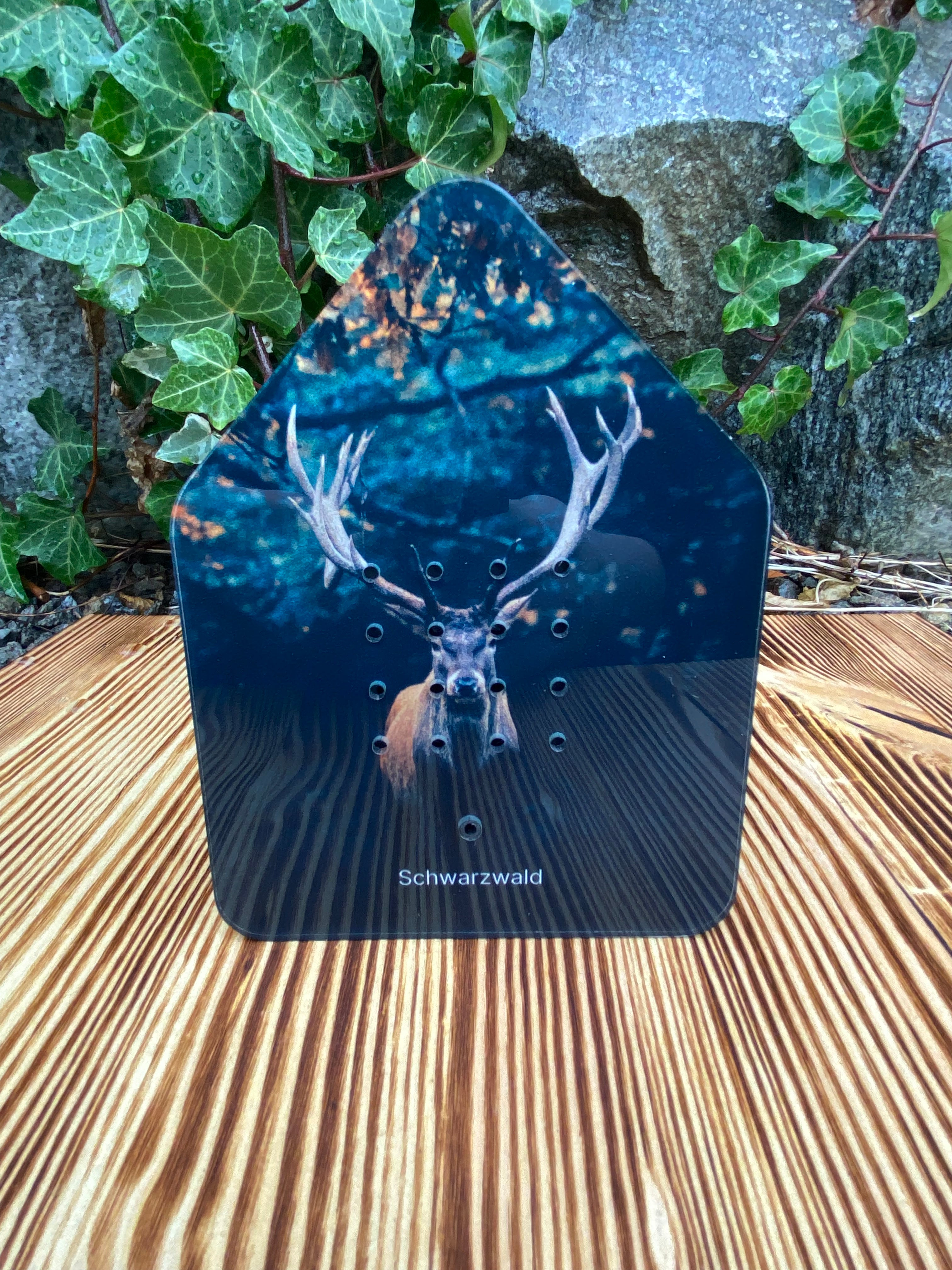 Ein Display mit der Zwitscherbox „Bollenhut“ & „Hirsch“ mit einem Hirsch und Geweih mit der Aufschrift „Schwarzwald“ auf einer Holzoberfläche, im Hintergrund Efeu.